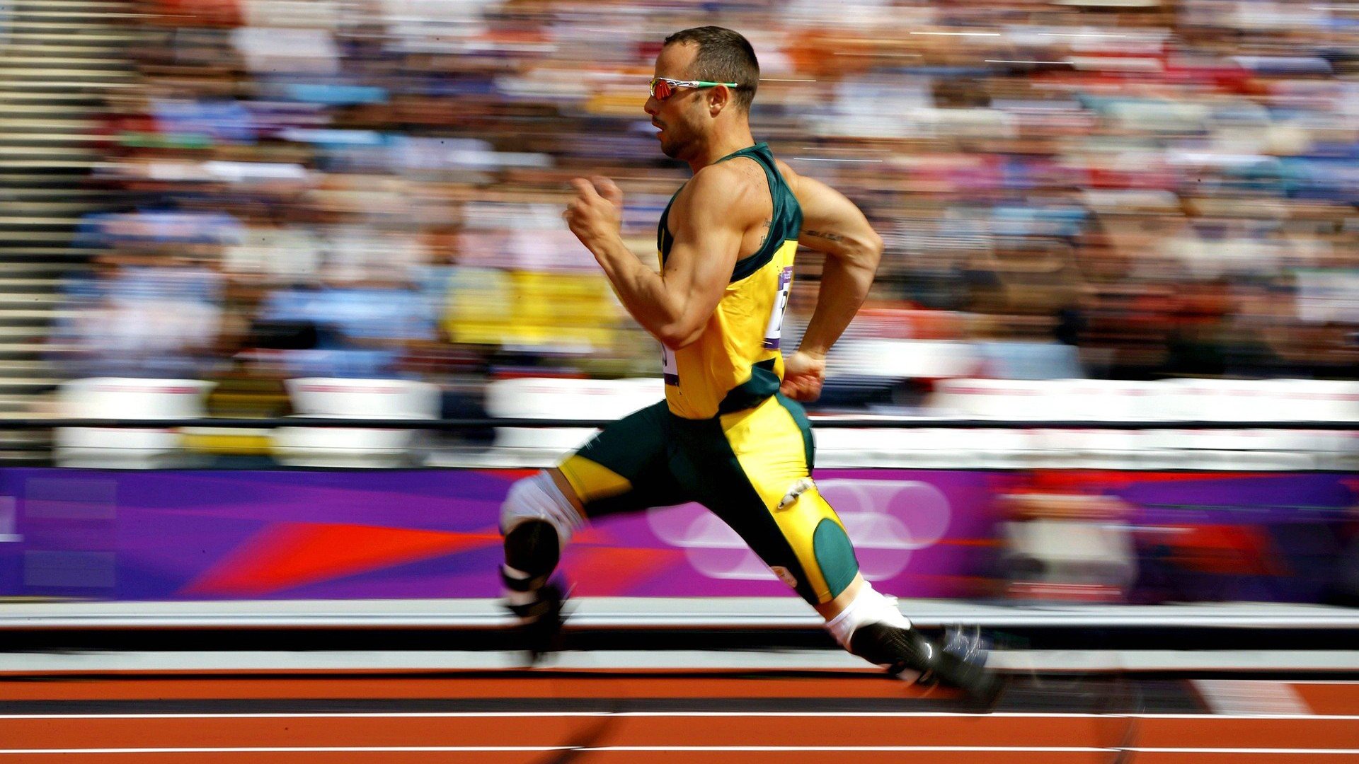 开云体育官网入口-【场地环境影响】不同场馆如何影响比赛表现，场地环境对裁判员有什么影响